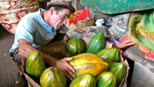 papaya