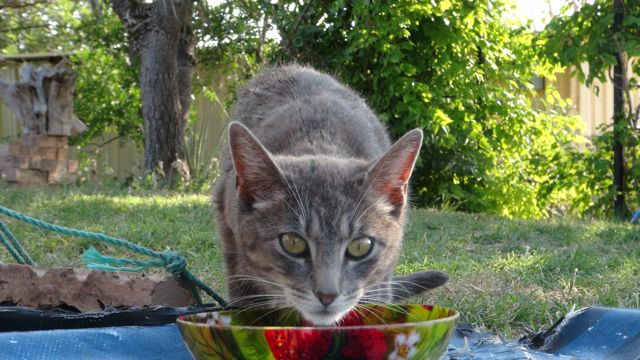 and she hangs there out, too.