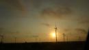 Wind Generators in the morning