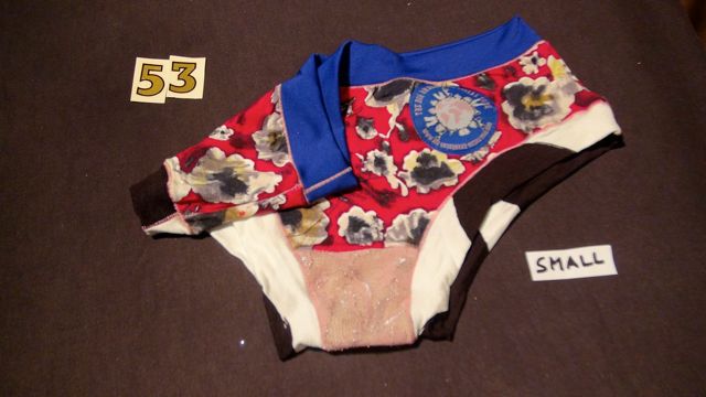 No. 53 Panties Small