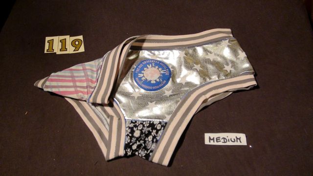 No. 119 Panties Medium