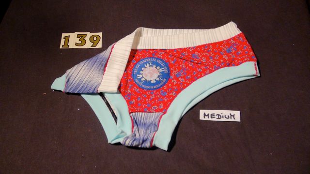 No. 139 Panties Medium