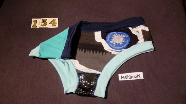 No. 154 Panties Medium