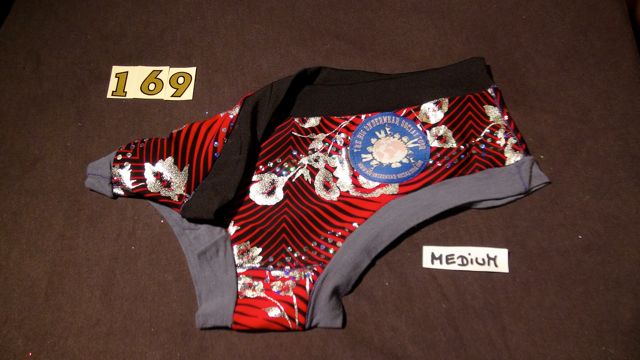 No. 169 Panties Medium