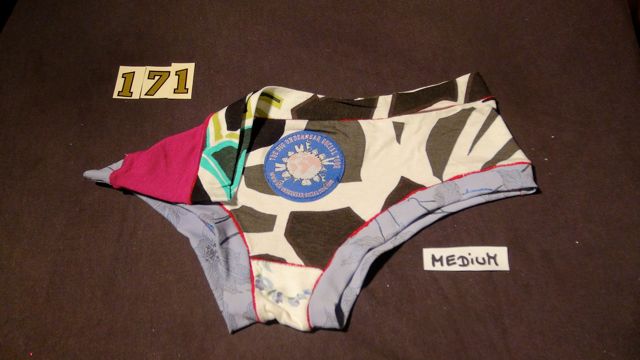 No. 171 Panties Medium