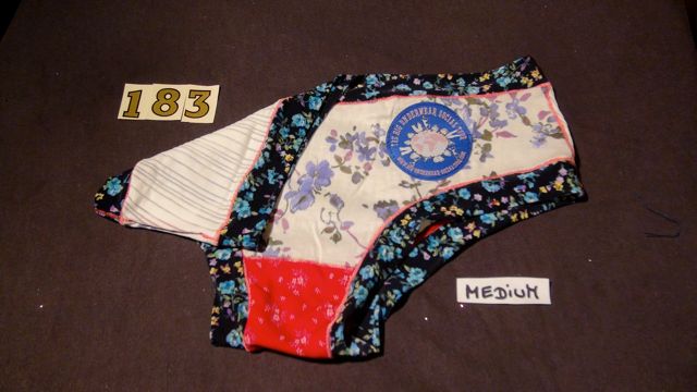 No. 183  Panties Medium