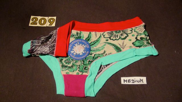 No. 209  Panties Medium