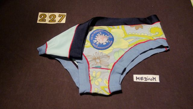 No. 227  Panties Medium