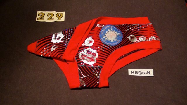 No. 229  Panties Medium