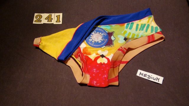 No. 241  Panties Medium