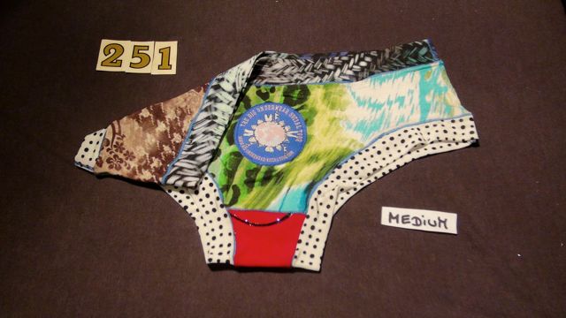 No. 251  Panties Medium