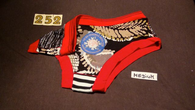 No. 252  Panties Medium