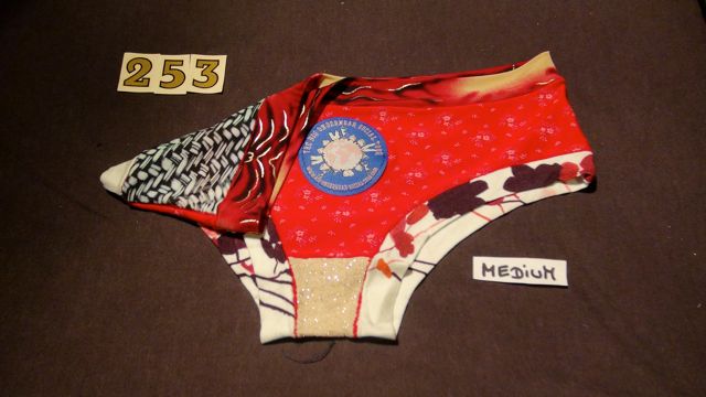 No. 253  Panties Medium