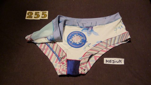 No. 255  Panties Medium