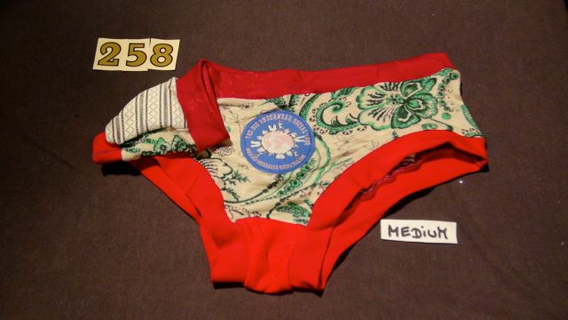 No. 258  Panties Medium