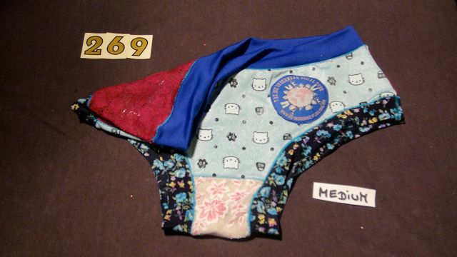 No. 269  Panties Medium