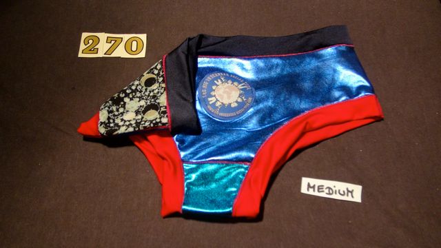 No. 270  Panties Medium