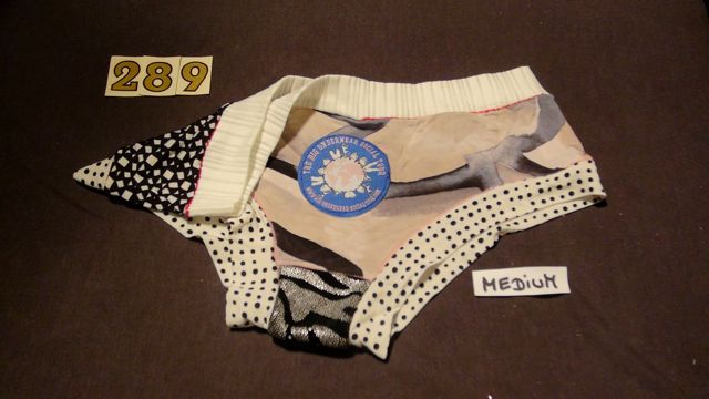 No. 289  Panties Medium