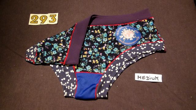 No. 293  Panties Medium