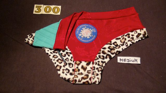 No. 300  Panties Medium
