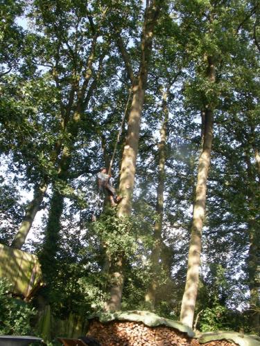 Treework