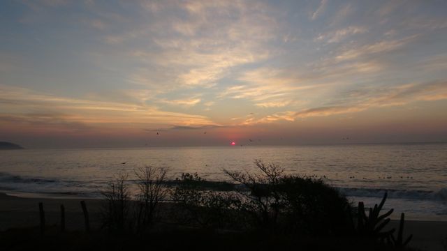 morning or evening?