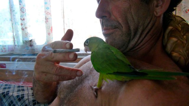 with our bird, Kaka Verde