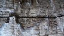 bark